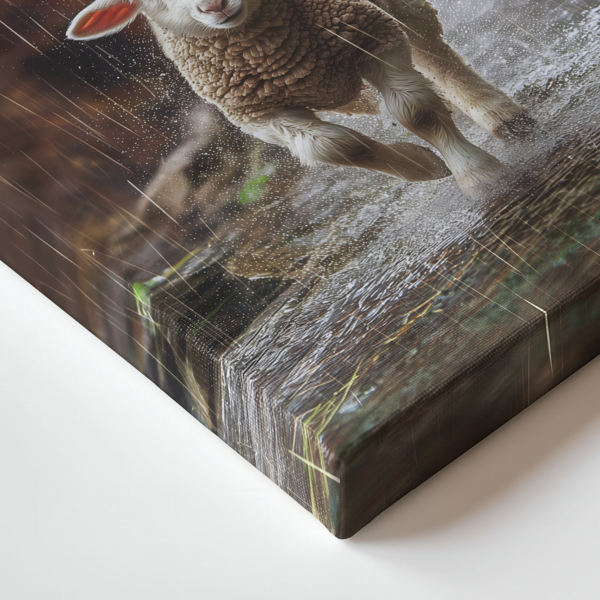 Picture of Jesus and Lamb